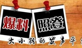 最近有什么新的爆料新闻,娱乐圈最新重磅爆料，真相令人震惊！