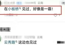 老司机免费爆料黑料视频在线播放,黑料视频在线播放全解析